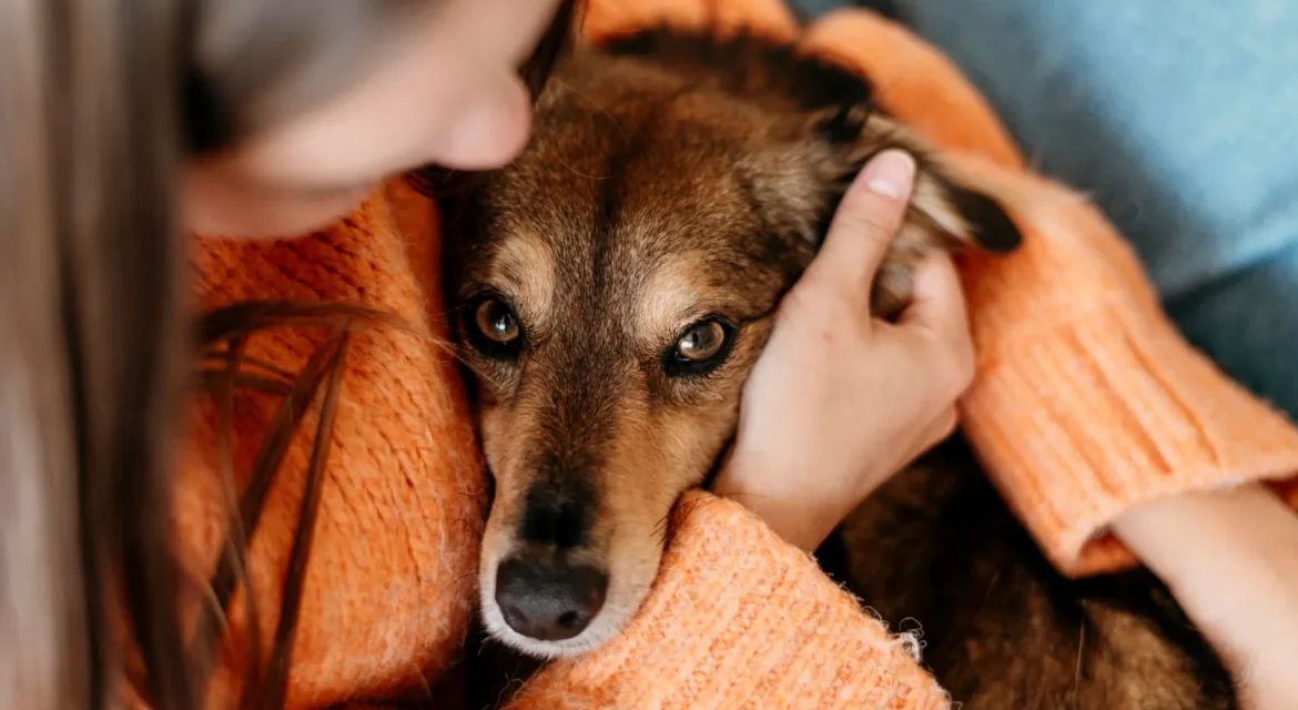 Mujer abrazando a un perro marrón mientras usa un suéter naranja, mostrando una conexión afectuosa entre ambos en un ambiente acogedor.