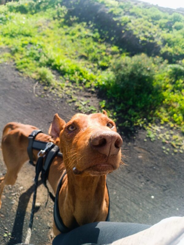 Clyde - Imagen 2