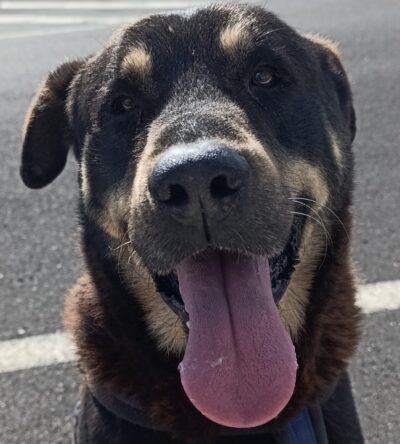 Max