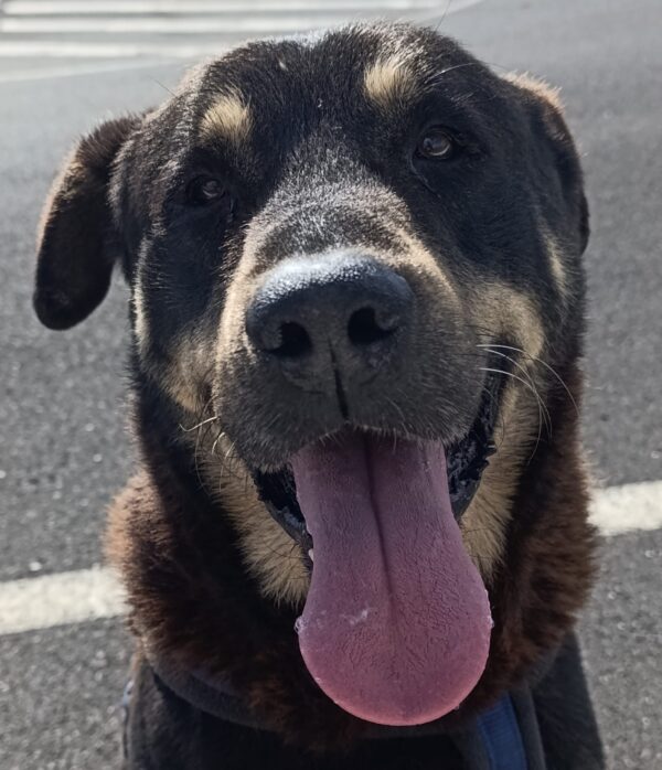 Max